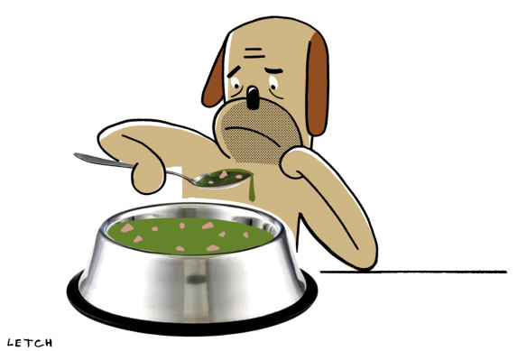 I made my friend soup. Why did she share it with her dog?