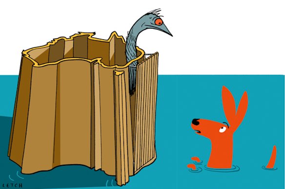 Under COVID, suddenly geography came to matter more than identity or values.