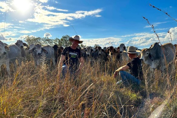 Moombra Meats specialises in pasture-raised beef.