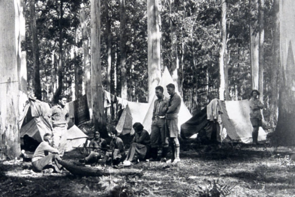 Walkers in the Blue Gum Forest in the Blue Mountains in 1931 when its conservation became a concern.