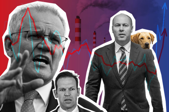 Puppies, coal power and policy dominated the conversation on the Coalition this week. 
