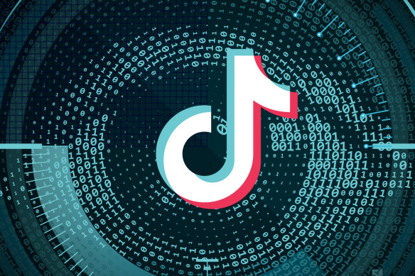 Social media app TikTok is causing concern in many Western democracies because of its Chinese ownership.