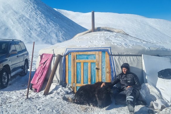 The dying yak outside the filmmakers’ Mongolian tent, or ger.