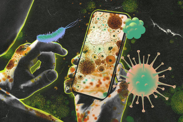 Doctors visiting Sydney had their phones swabbed. The results were disgusting.