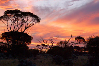 A sunset in Tjuntjuntjara, one of WA's most remote communities, more than six hours' drive from Kalgoorlie. 