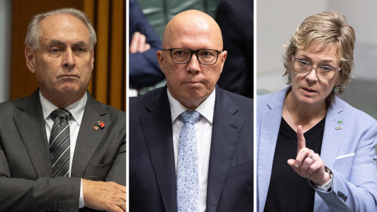 Special Minister of State Don Farrell, Opposition Leader Peter Dutton and independent MP Zali Steggall.