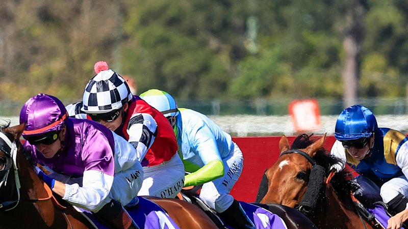 Race-by-race tips and preview for Friday night at Canterbury