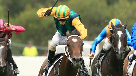 Easy Eddie (green and yellow silks) will look for a fairytale in the Galaxy at Rosehill on Saturday.