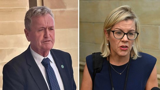 Opposition leader Shane Love and Liberal leader Libby Mettam.