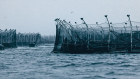 Tassal fish pens in Tasmania.