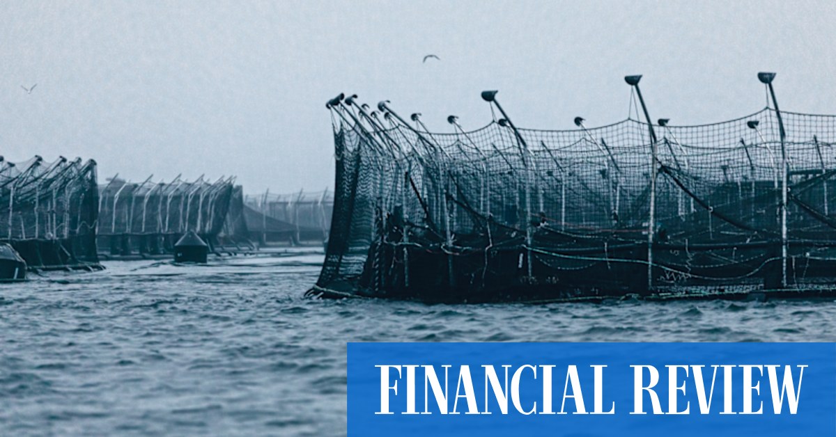 M&A: Andrew Forrest's Tattarang backs $425m buyout of Huon Aquaculture by Brazil's JBS - Vimarsana News