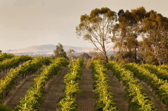 Seppelt in Western Victoria.