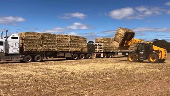 Up to 50 road trains are heading to north-west Queensland with fodder to help struggling farmers. Most are coming from South Australia and have been organised by Rural Aid.