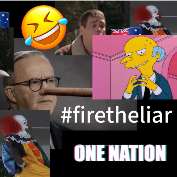 One Nation’s surge in the polls is powered by human bots