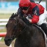 Winter and spring hopes collide in fascinating Missile clash