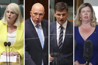 Karen Andrews, Peter Dutton, Angus Taylor and Bridget Archer have all expressed interest in leadership positions.
