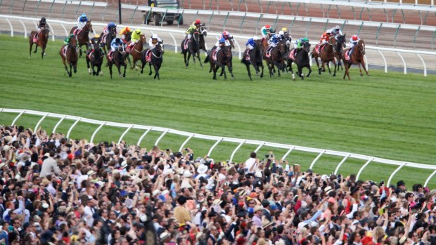 Authorities allege the accused told backers a $75,000 investment relating to the Melbourne Cup would be returned soon after the race, regardless of its outcome.