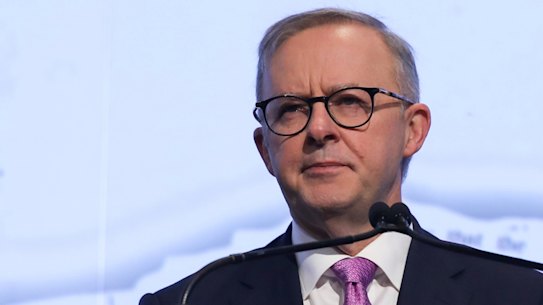 Labor leader Anthony Albanese has been announcing community battery projects in marginal seats.