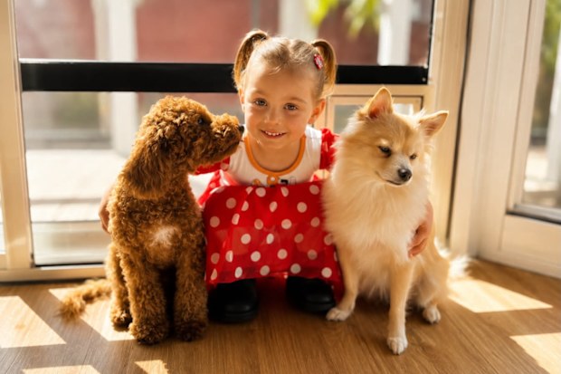 Bear, a three-year-old cavoodle killed in a brutal dog attack in NSW, and Bambi with their owner’s granddaughter.