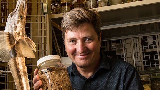 More than 1000 metres beneath the ocean's surface, these fish may have ...
