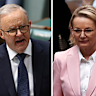 Anthony Albanese and Sussan Ley in first question time.