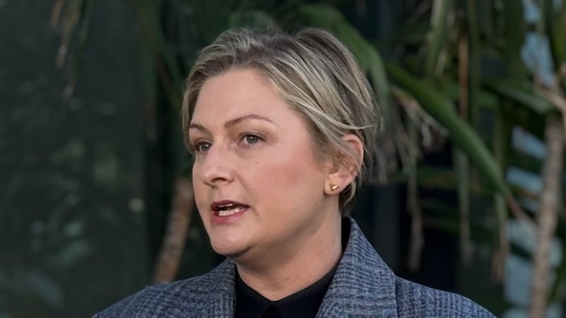 Minister defends domestic violence funding cuts after alleged killing of young mother