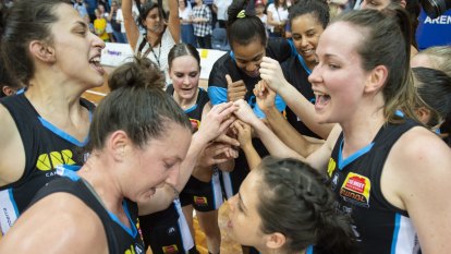 WNBL axe referee, but Capitals focus on rebirth of Canberra dynasty