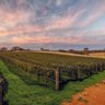 Australia’s 52 top wineries of 2022