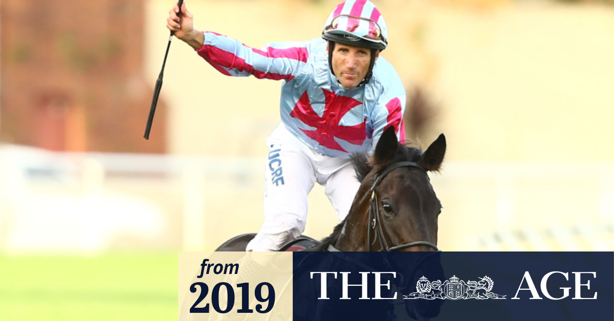 Bloodstock agent Sheamus Mills was the successful buyer of ...