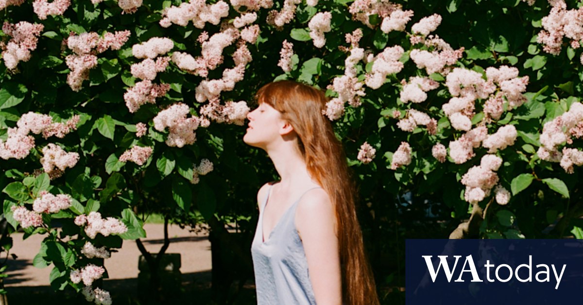 How different light can affect your health - Vimarsana News