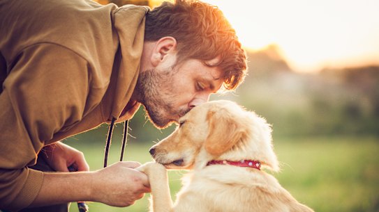 Most dog owners love their pets - surely there’s no need to legally require them to spend time together?
