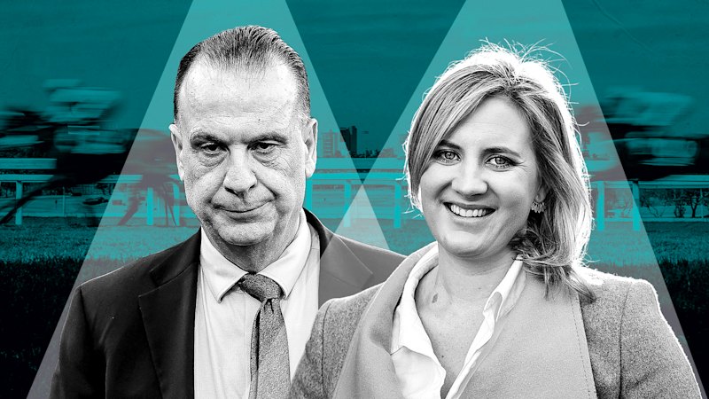 ‘Legal intimidation’: Peter V’landys declares war on owner of racing website