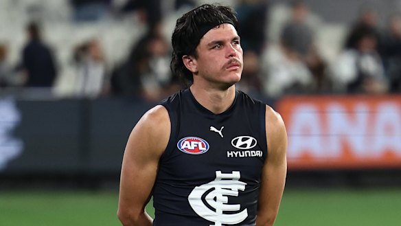 WorkSafe Victoria is investigating Carlton following an incident involving Elijah Hollands. 