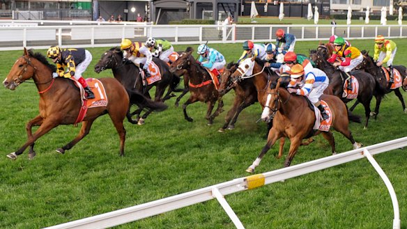 Dollar For Dollar (orange cap on the rails) runs second to Behemoth in the Sir Rupert Clarke Stakes. 