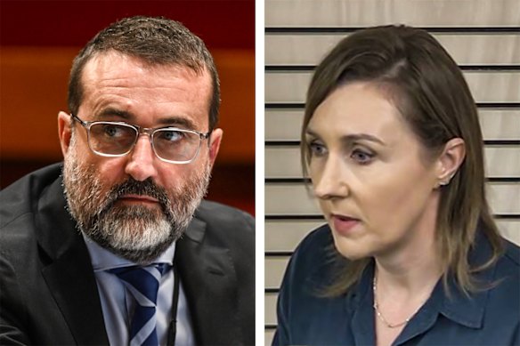 Former School Infrastructure NSW chief executive Anthony Manning; former PwC partner Amy Brown.