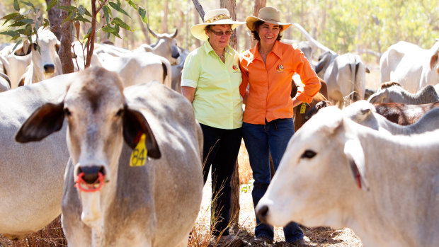 Moira Lanzarin and her mother, Clair O'Brien, surrounded by Brahman cattle on their Coodardie property.