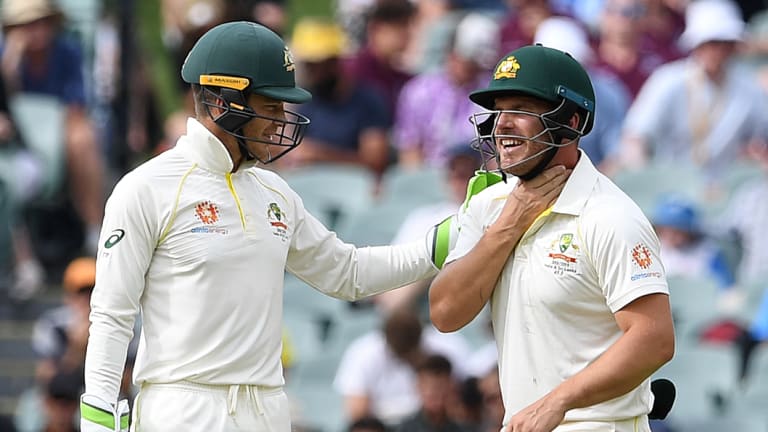 At their throats: Australian captain Tim Paine checks on Aaron Finch after he was hit in the throat.