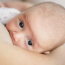 Breastfeeding association defends creation of ‘chestfeeding’ booklet