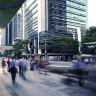 As it happened: Brisbane on February 19
