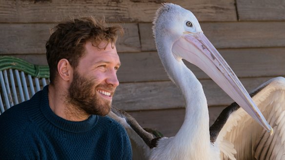 A new Storm Boy started shooting last financial year. 