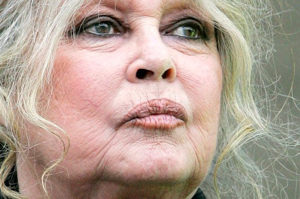 Photo of Brigitte Bardot in 2007.