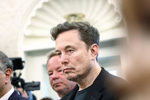 Tesla chief executive Elon Musk at the White House last week for a meeting between Donald Trump and South African President Cyril Ramaphosa.