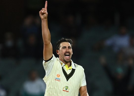 Mitchell Starc have 39 wickets from just seven Tests at the Adelaide Oval.