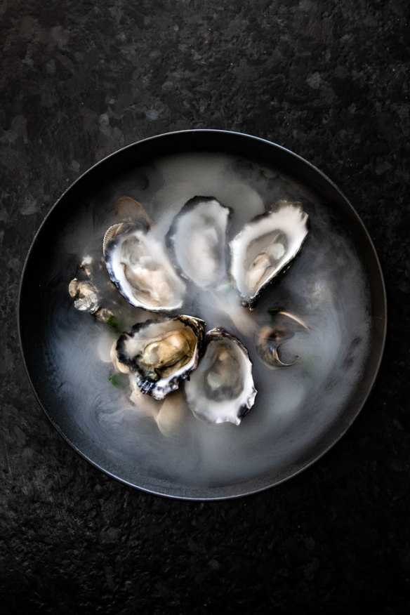 Oysters.