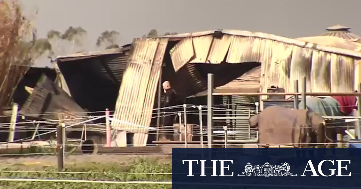Harness racing: Horses die in fire at Mifsud family's Forbes property, Grand Lodge - Vimarsana News