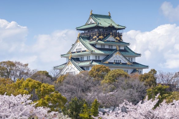 Osaka Castle: we arrive to hundreds of cherry trees in dazzling peak bloom.