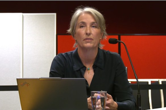 Sally Dowling gave evidence to the NSW Parliament.