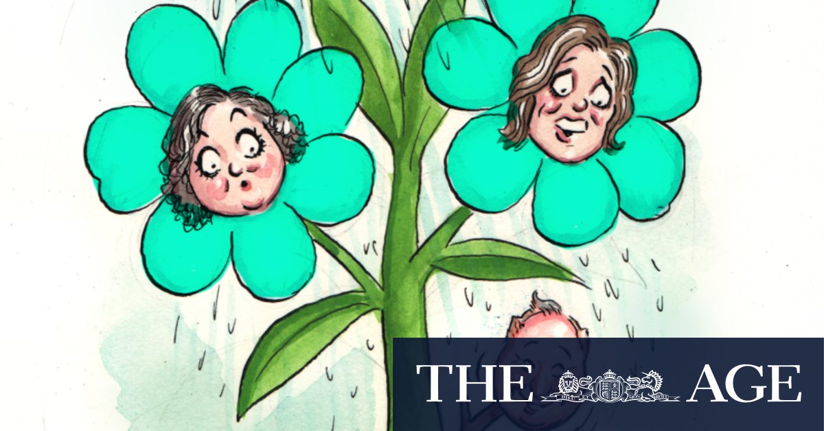 Teal whisperers graft Twiggy Forrest’s green offshoot onto image machine - The Age