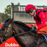Perfect Pracey-Holmes has a Compelling Truth to tell at Rosehill