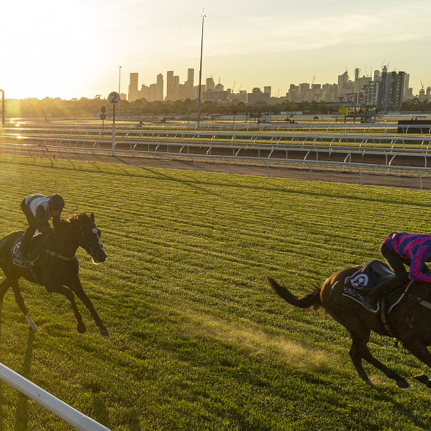 Constantinople, left, and Huntly Castle at trackwork, Flemington, October 29.